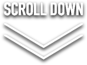 SCROLL DOWN